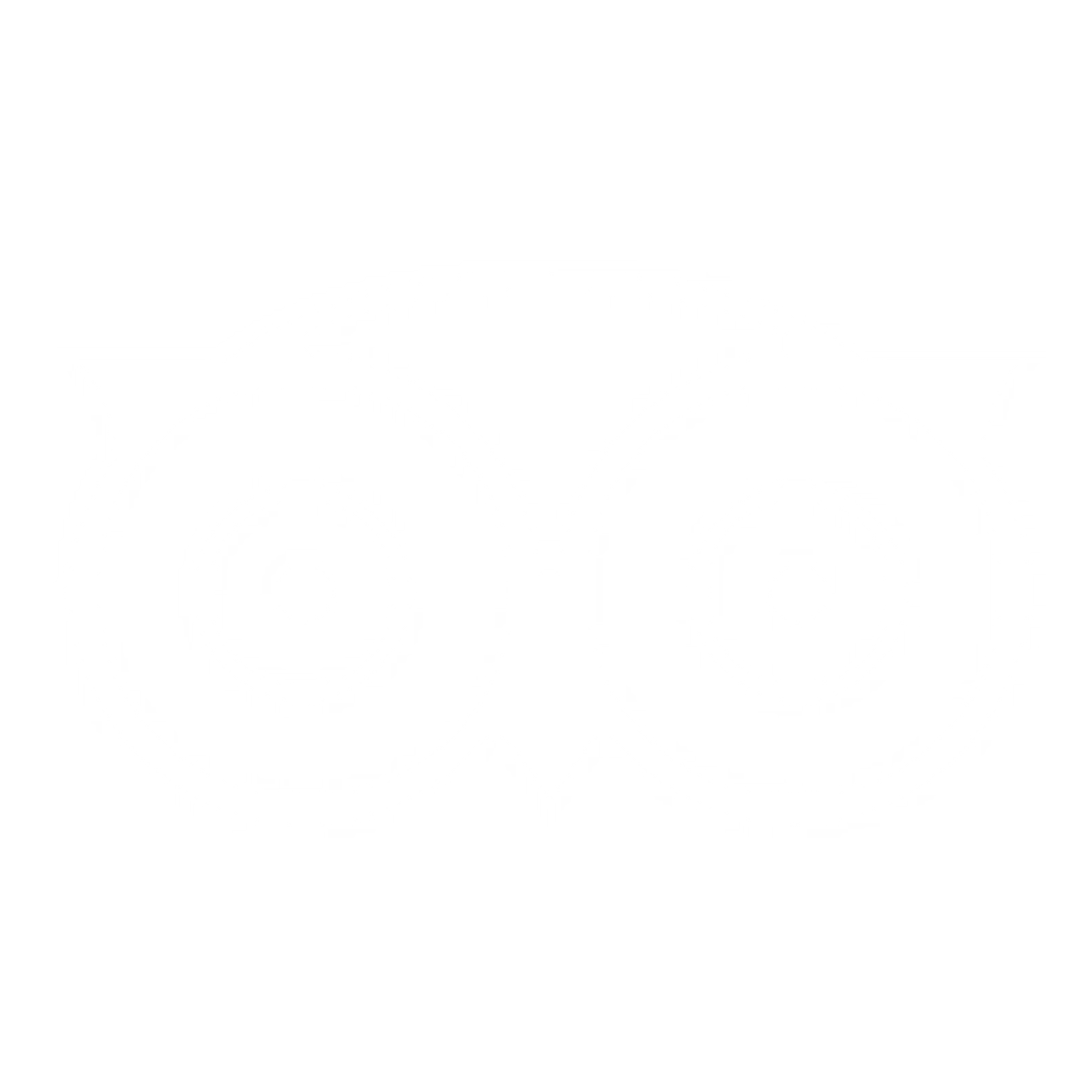 White TripAdvisor Icon